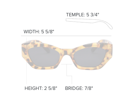Beck Sunglasses - Blue/Navy Polarized