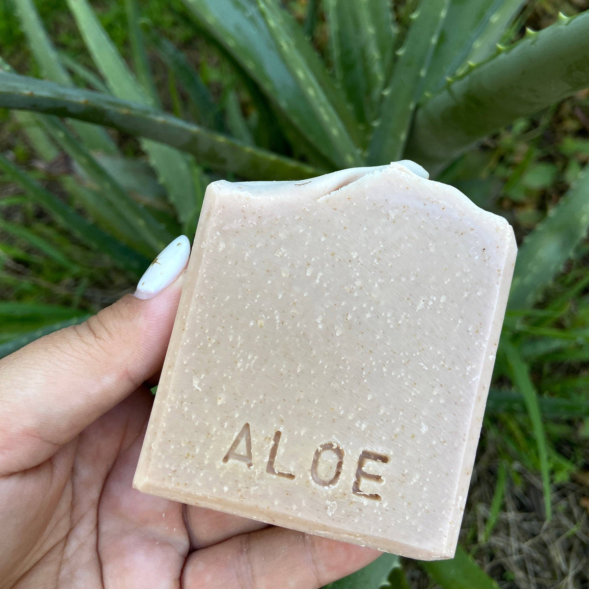 Aloe, Eucalyptus and Mint Soap Bar - Golden Terra Co