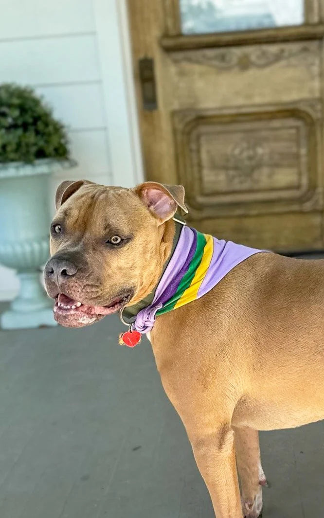 Lavender Vintage Stripe Pet Scarf