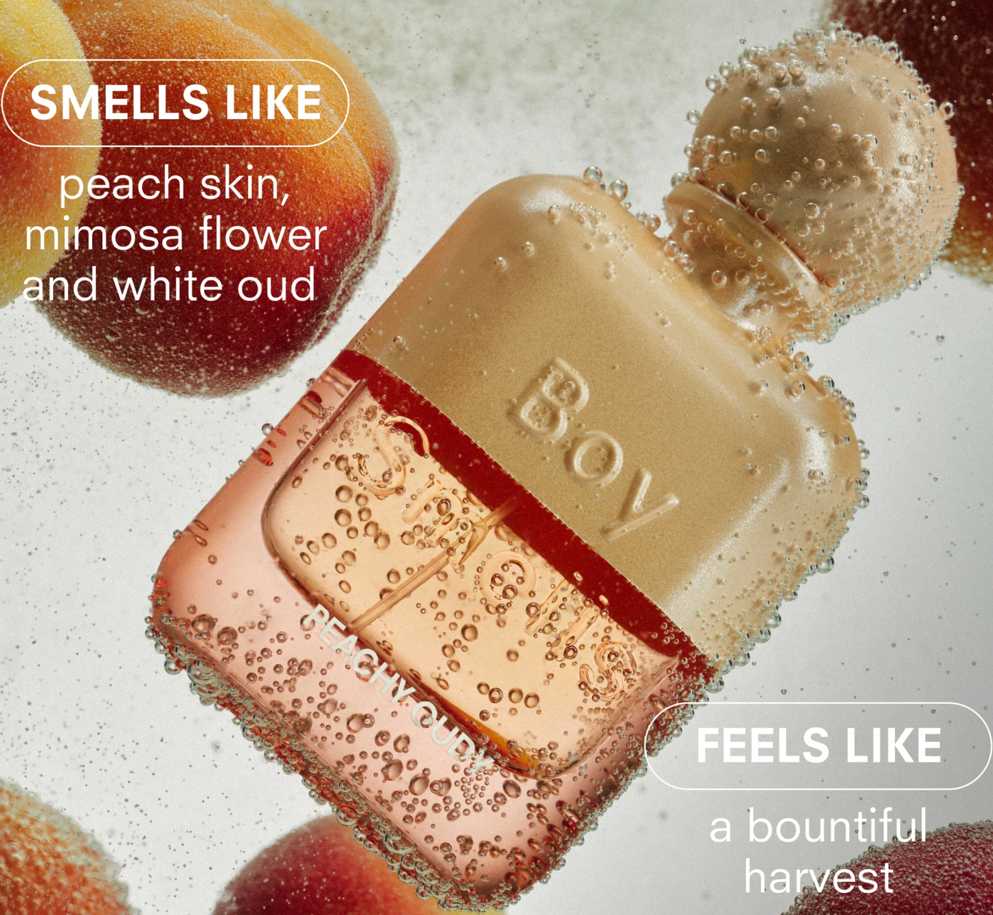 Close-up of a perfume bottle with bubbles and text describing its scent.