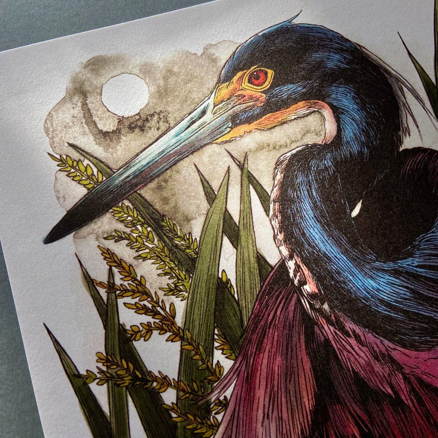 Colorful illustration of a bird with a long beak and red eyes, surrounded by green foliage on a textured gray background.