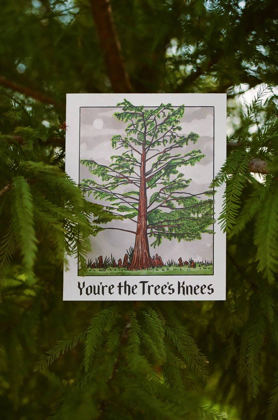 Card with a tree design and text 'You're the Tree's Knees' placed among green leaves.