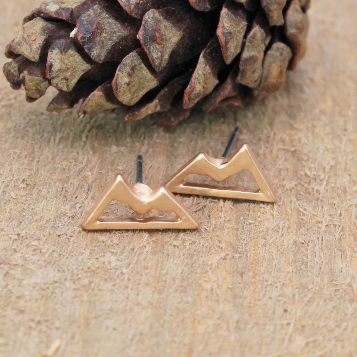 The Mountains are Calling Earrings