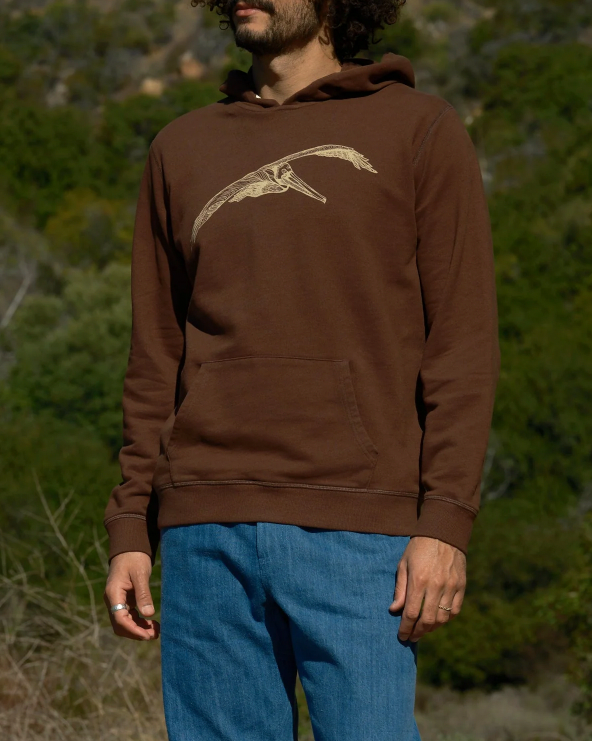 Brown Pelican Pullover