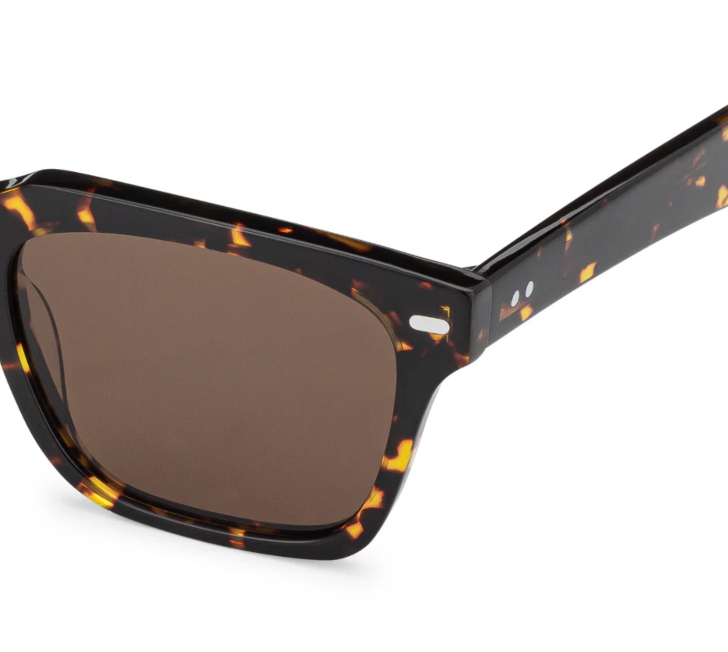 Cut Forty Sunglasses - Tortoise Shell/Brown
