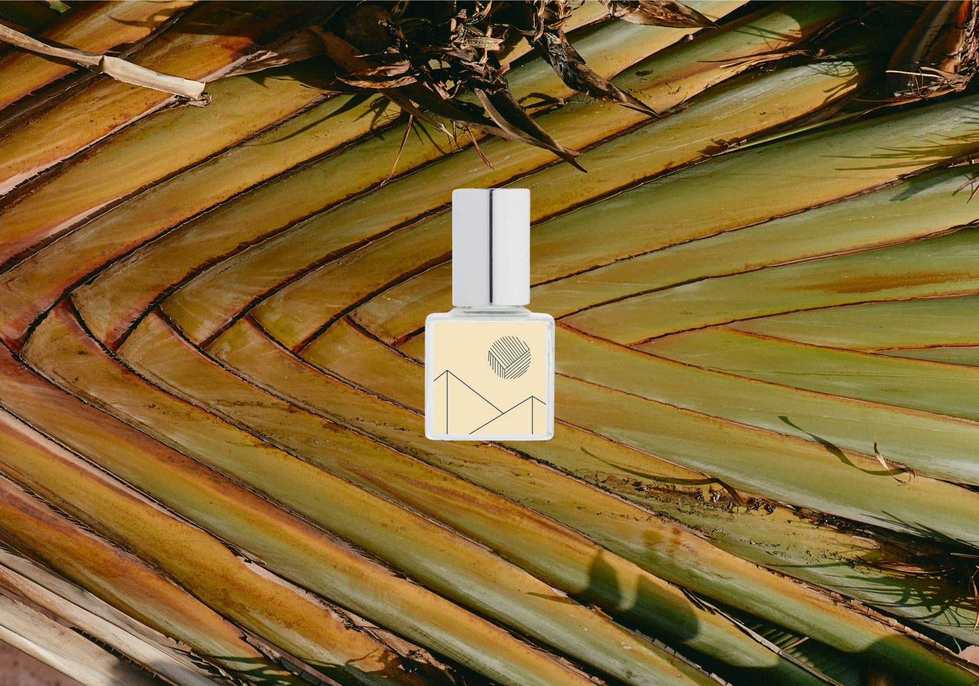 White bottle with geometric design on a palm leaf background