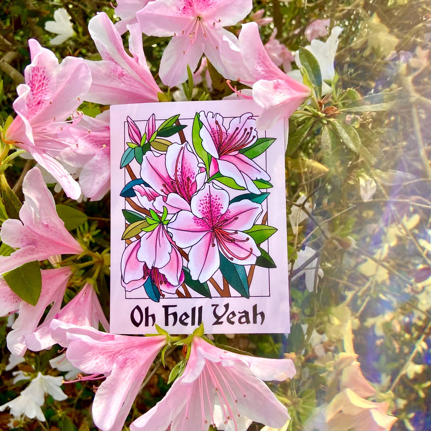Card with pink flowers and 'Oh Hell Yeah' text surrounded by real pink flowers