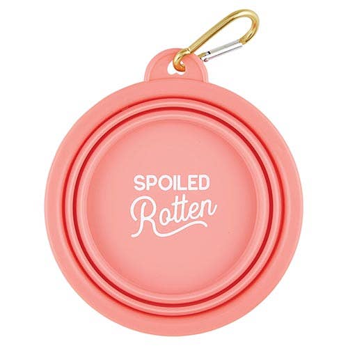 Pink pet water bowl with 'Spoiled Rotten' text and gold carabiner on a white background