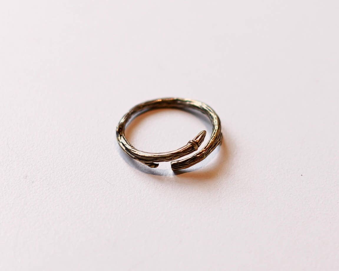 The Heirloom Rings