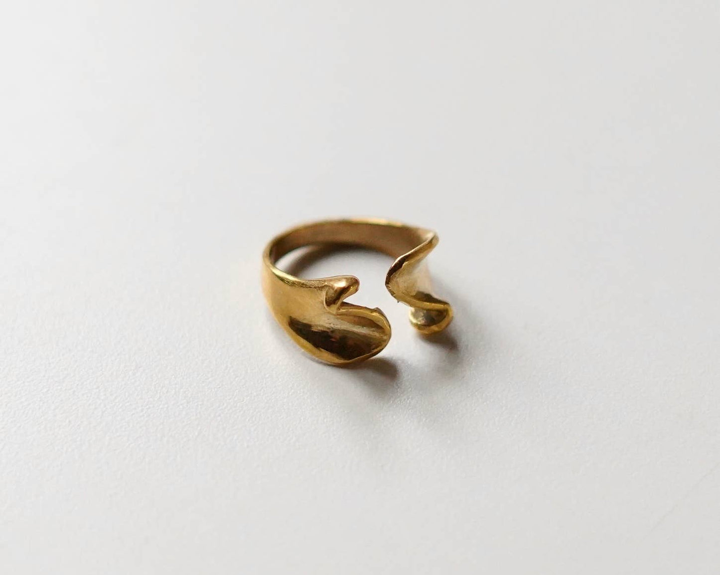 The Heirloom Rings