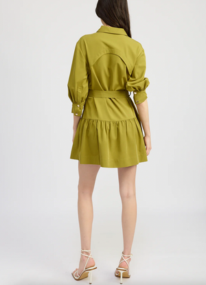 Carter Mini Dress - Pear