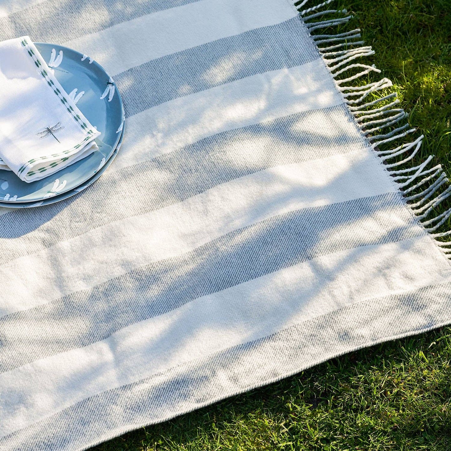 Striped picnic blanket with a plate and napkins on grass
