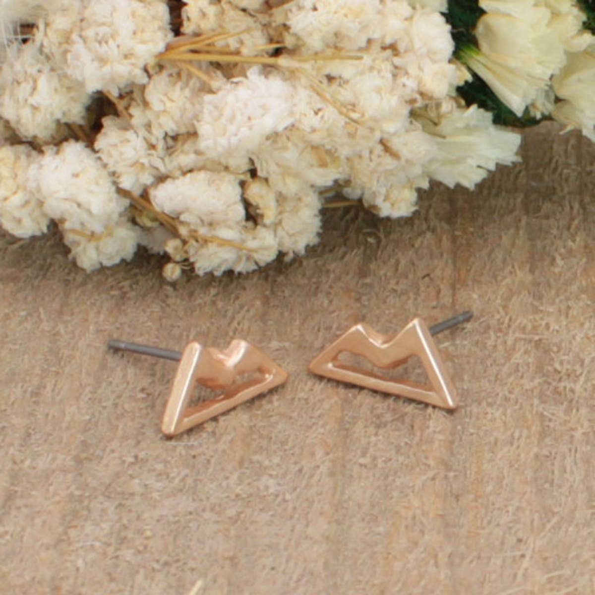 The Mountains are Calling Earrings