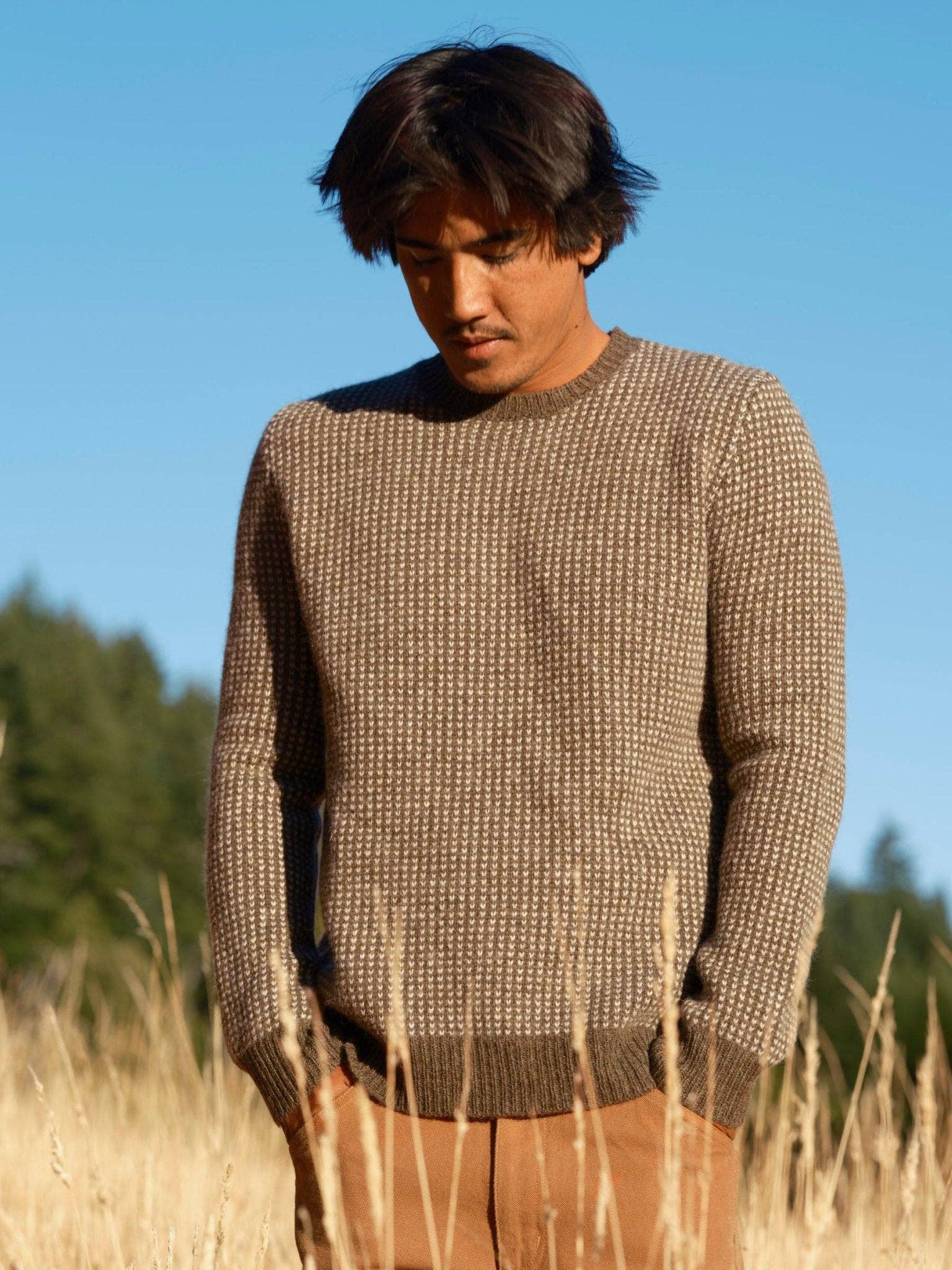 Man wearing a brown knitted sweater standing in a field with a clear blue sky.
