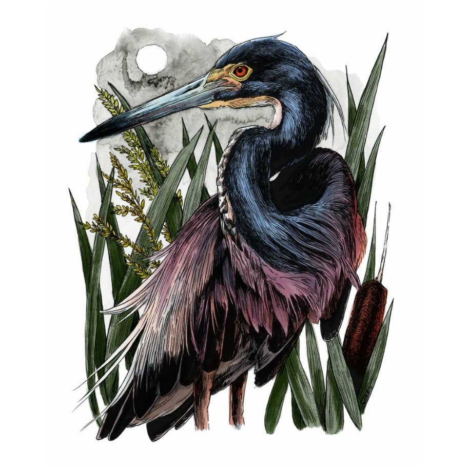 Colorful illustration of a heron among plants on a white background