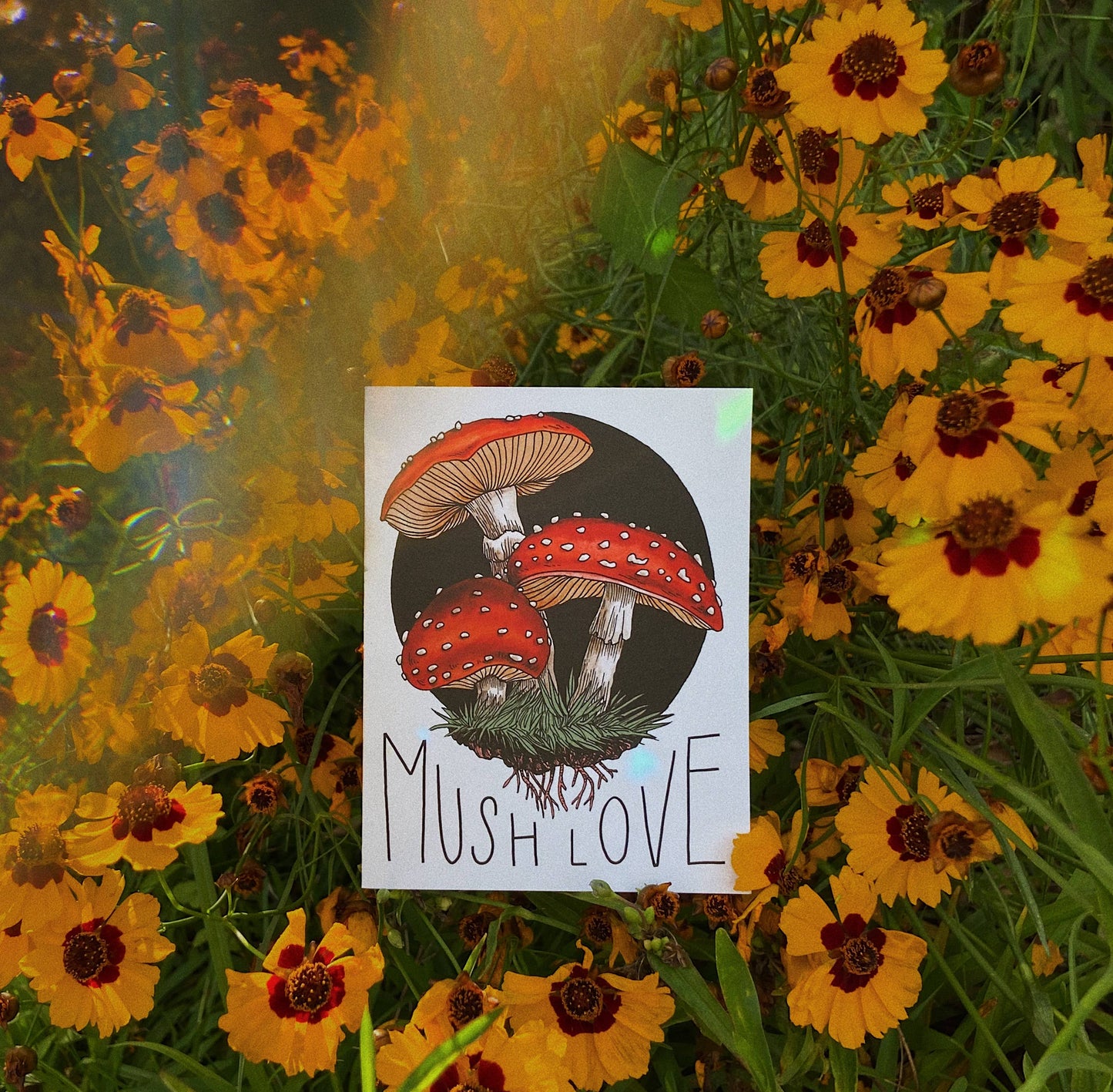 Toadstool card against floral background