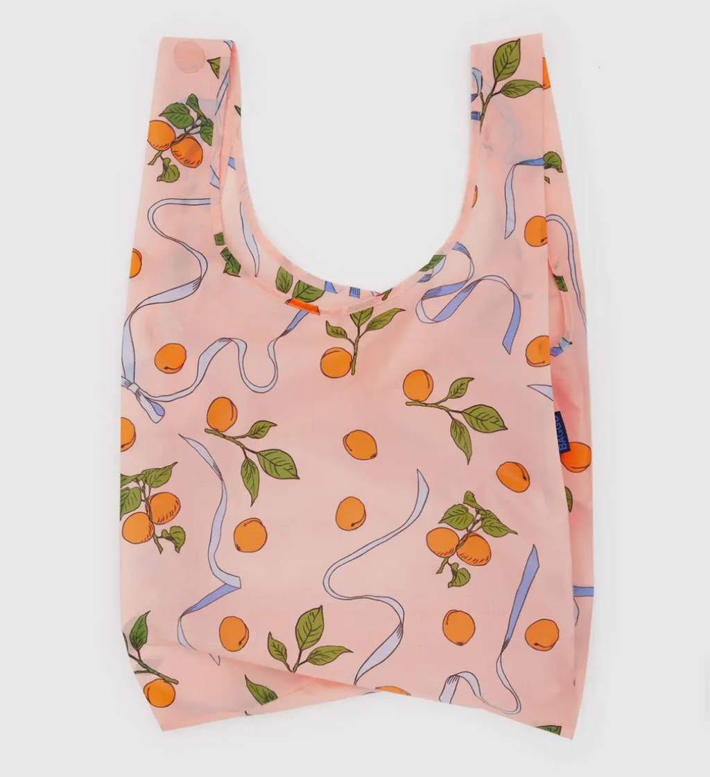 Standard Baggu - Apricots and Ribbons