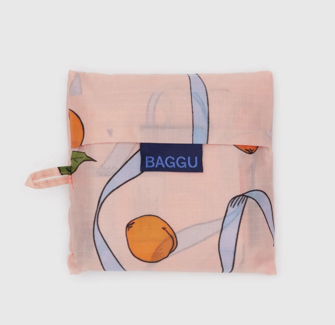 Standard Baggu - Apricots and Ribbons