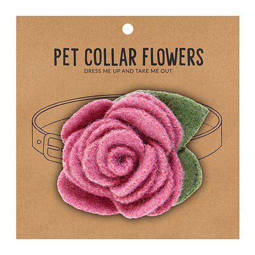 Pet collar flowers on a brown cardboard backing with text