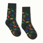 Little Kid Dinosaur Socks