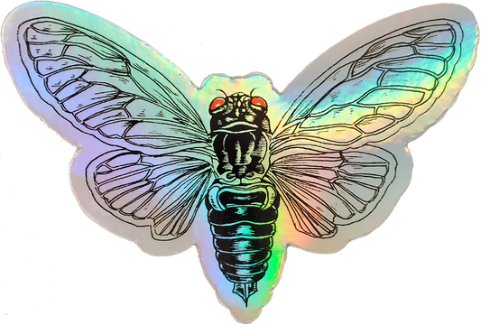 A die-cut sticker of a cicada with iridescent holographic wings and black body details, shown on a plain white background.