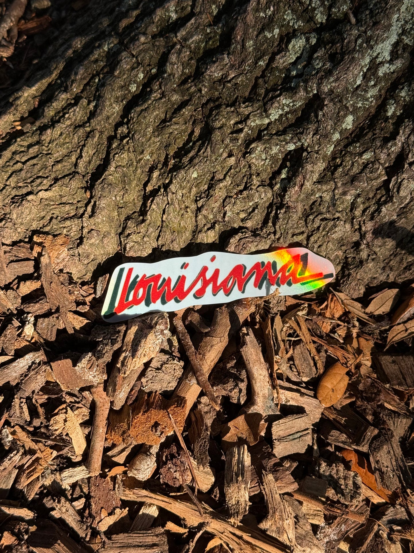 Louisiana Magnet