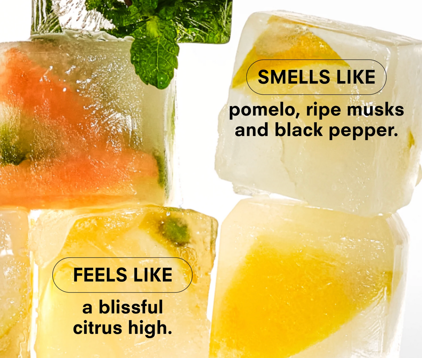Citrush 50 ML Fine Fragrance