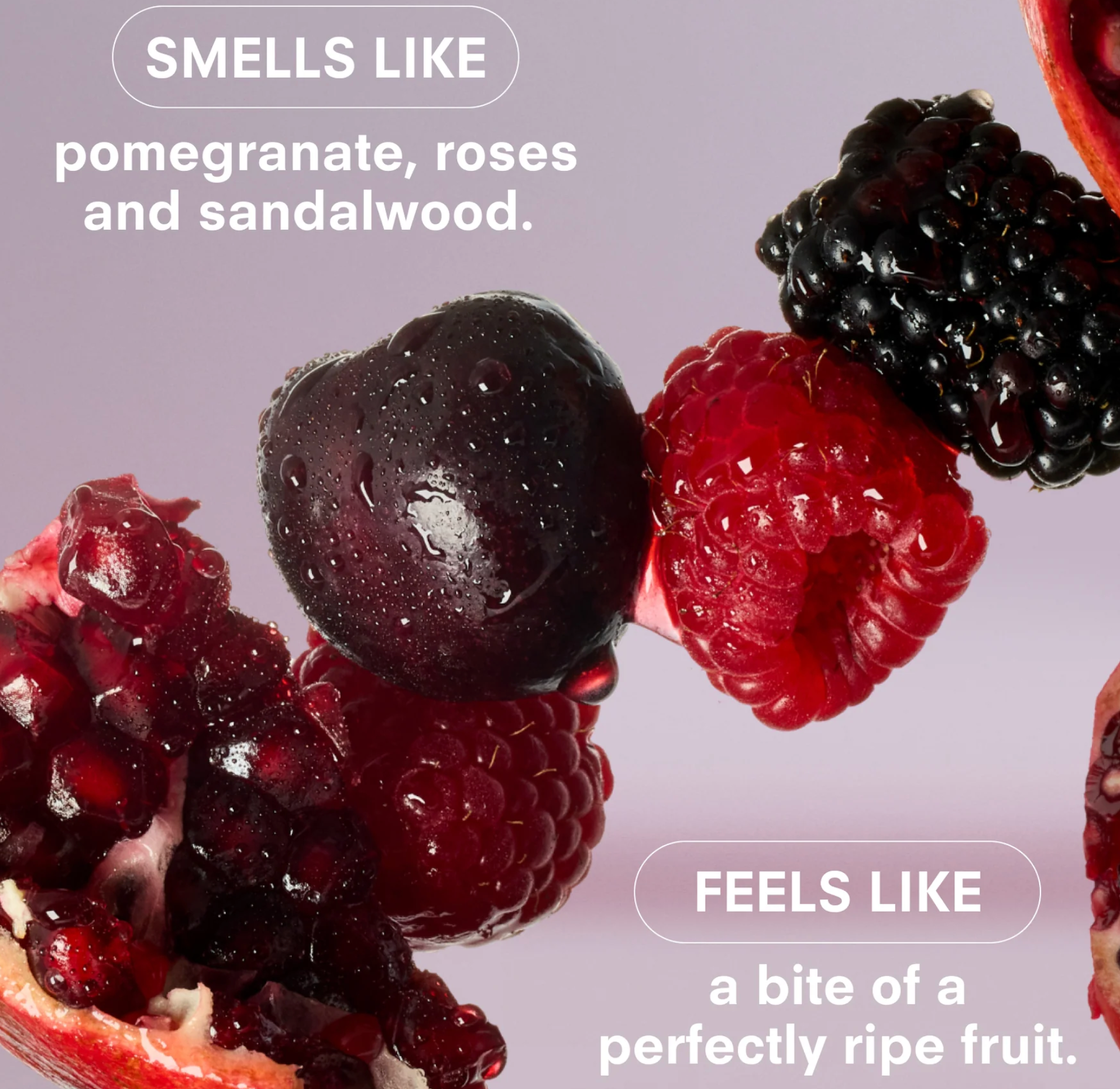 Close-up of blackberries, raspberries, and pomegranate with text describing their fragrance.