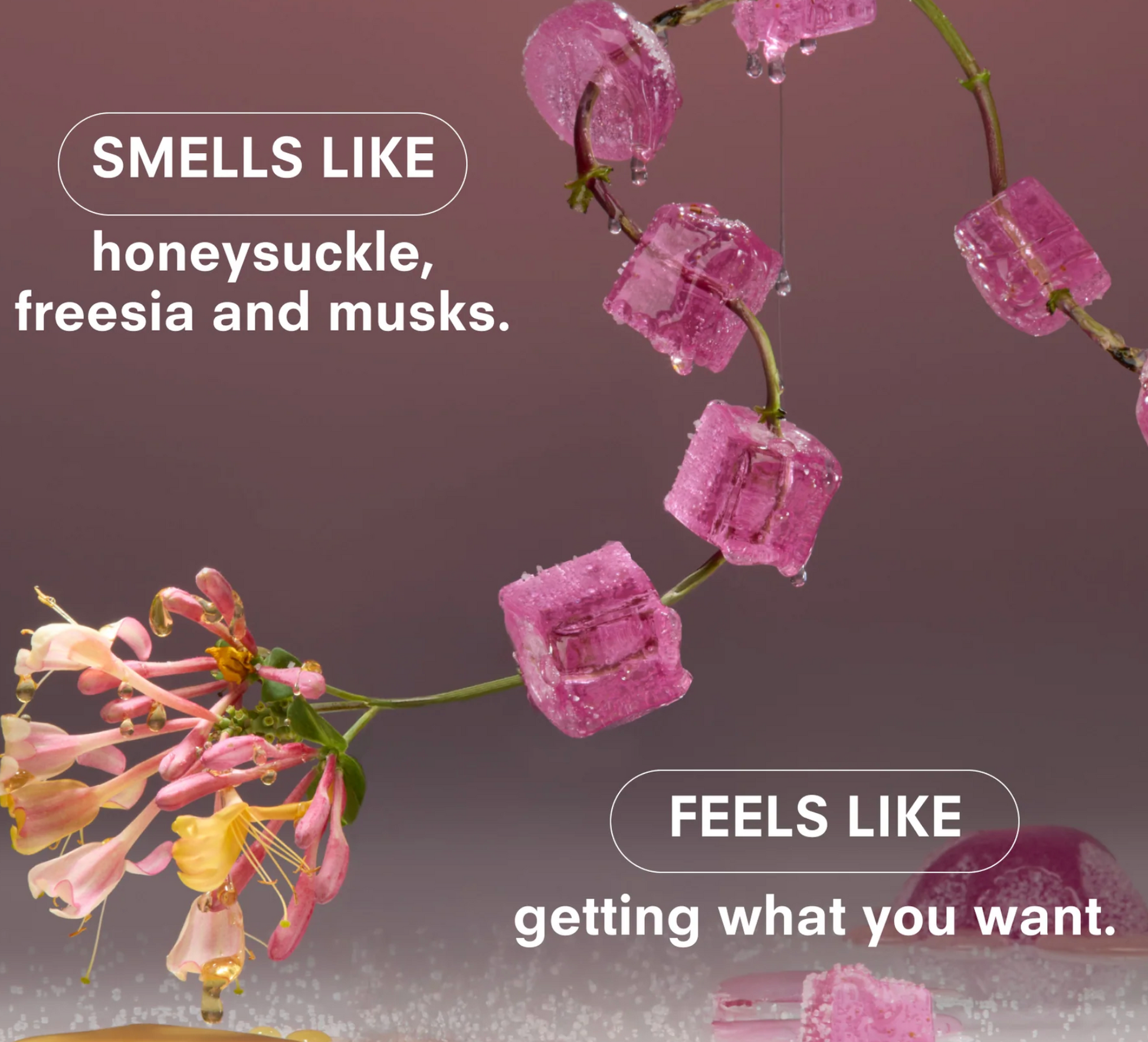 Pink flowers and crystals with descriptive text on a gradient background
