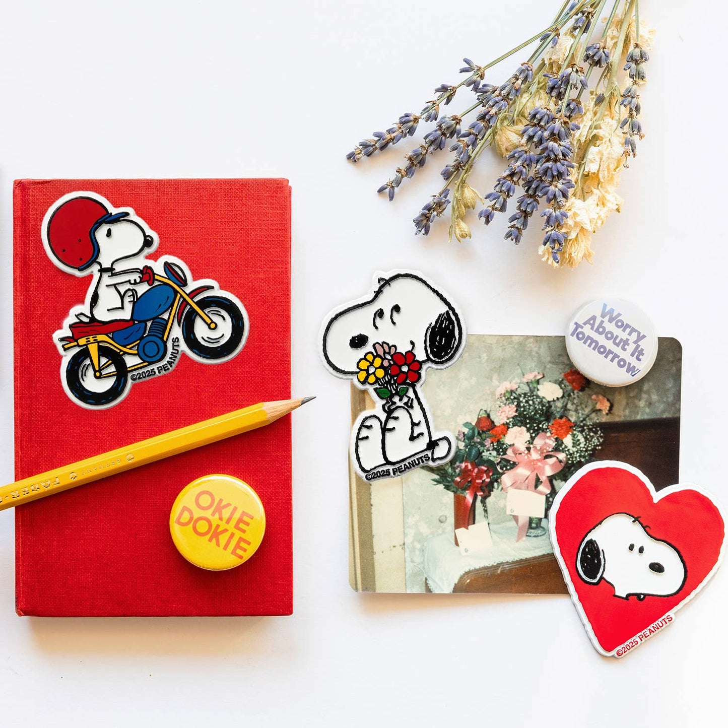 Red notebook with Snoopy stickers on a white background