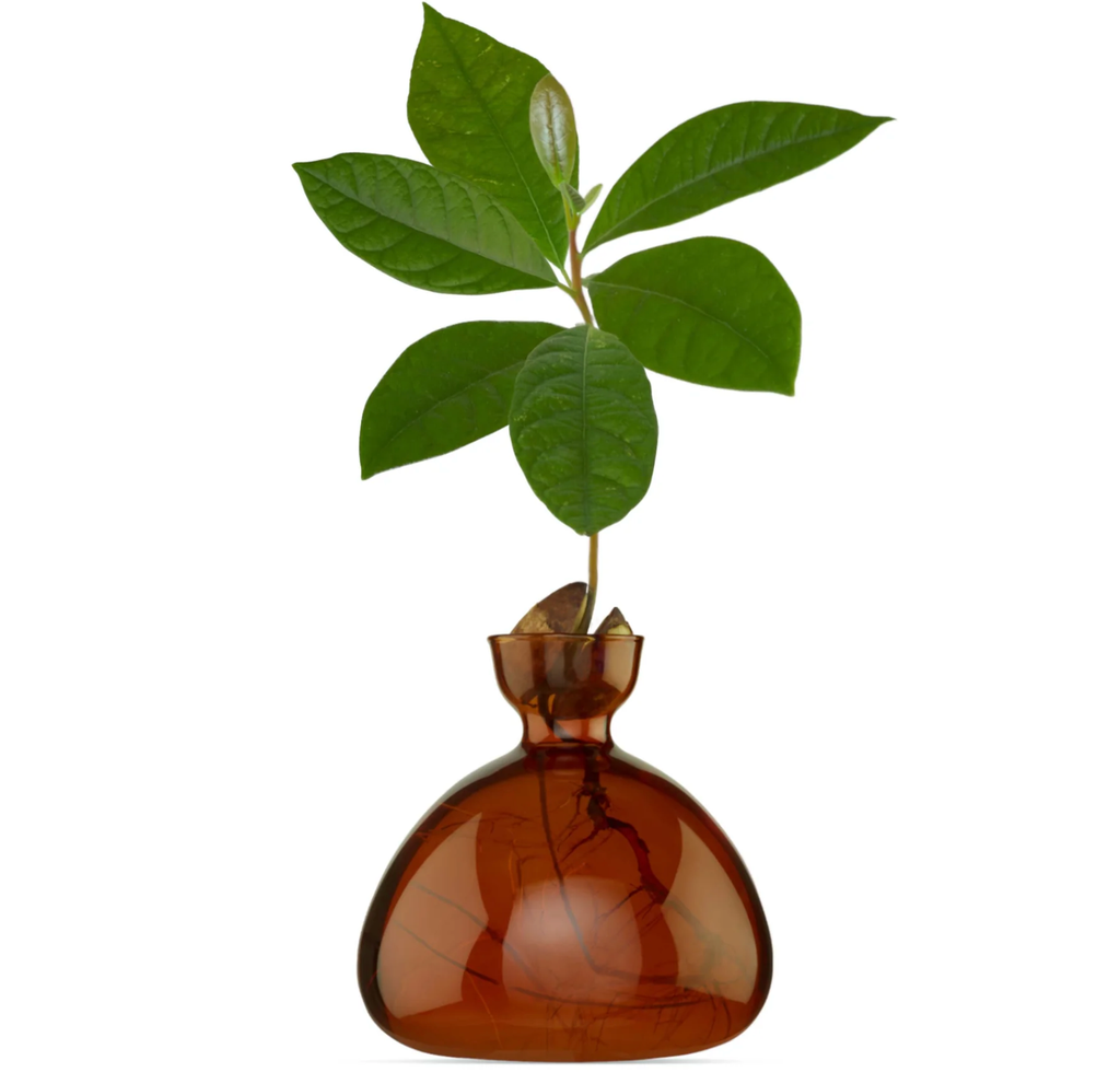 Avocado Vase - Russet Brown