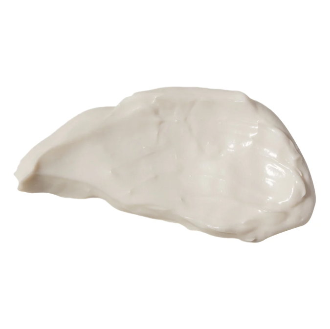 Oil Free Moisturizer - 4 oz.