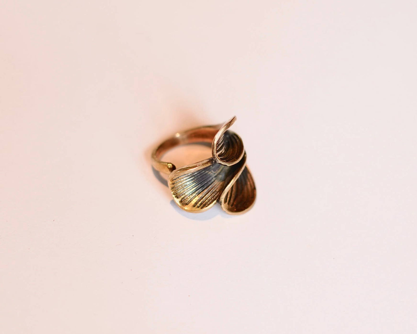 The Heirloom Rings