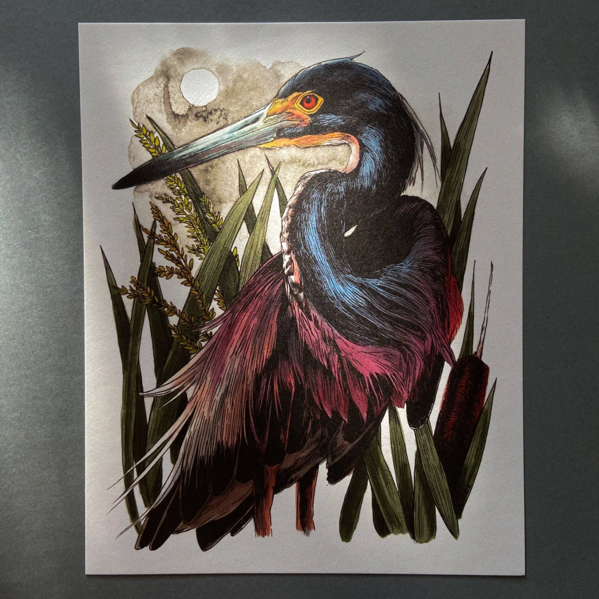 Colorful bird illustration with plant elements on a gray background