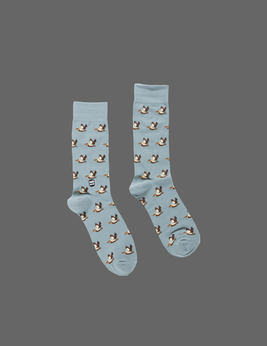 Pair of light blue socks with duck pattern on a white background