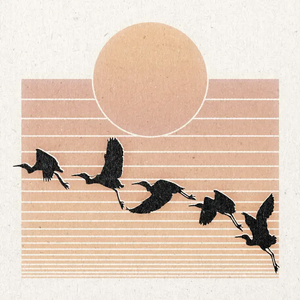 'Evening Flight' Print - 11" x 11"