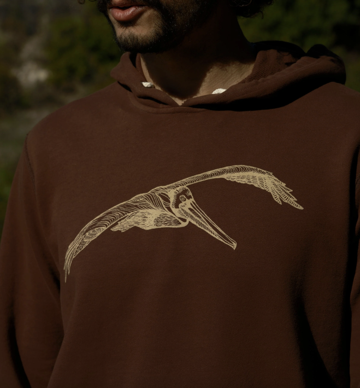 Brown Pelican Pullover