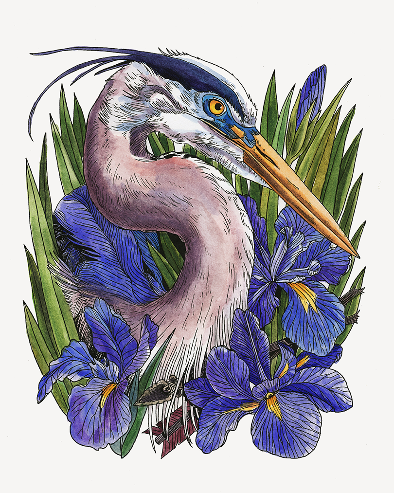 Illustration of a heron among blue flowers and green leaves