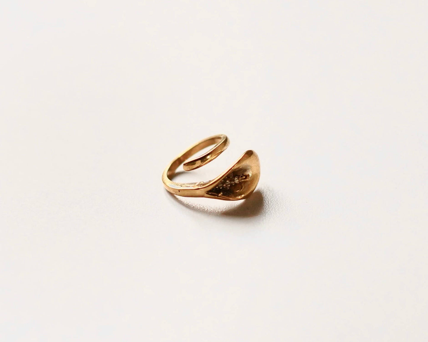 The Heirloom Rings