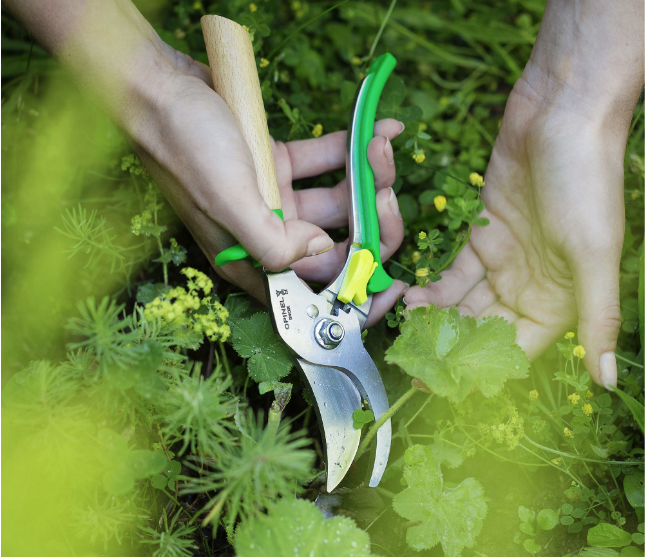 Hand Pruning Shears - Opinel