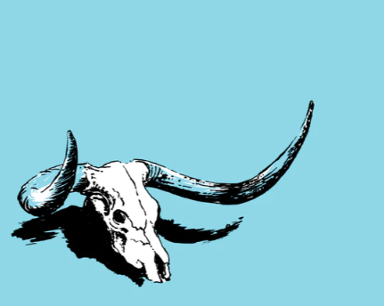 Wildsam Field Guide - Austin