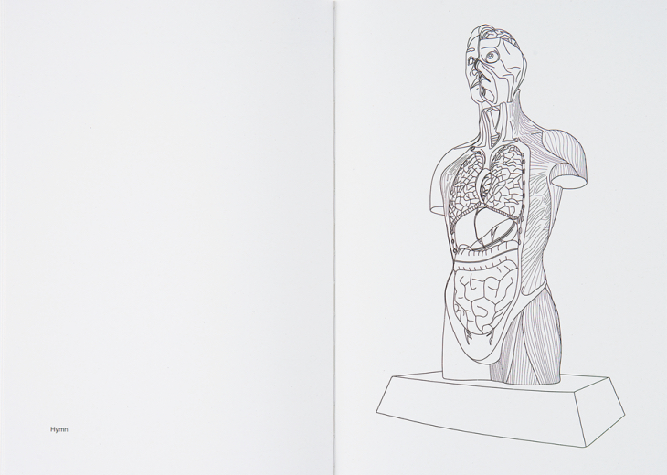 Damien Hirst Coloring Book