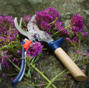 Hand Pruning Shears - Opinel