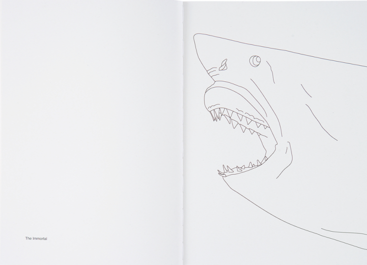 Damien Hirst Coloring Book